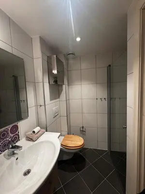 a bathroom with a sink and a toilet and a shower at Gimleveien 36G in Bergen