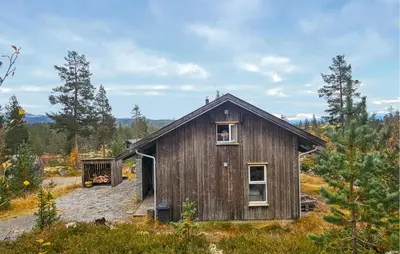 a wooden house in the middle of a field at Nice Home In Tinn Austbygd With Sauna in Luråsgrendi