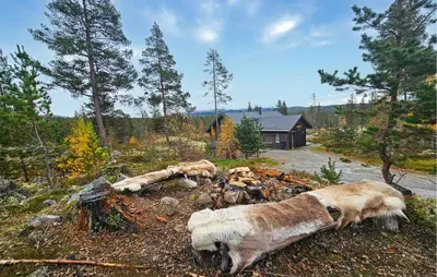 a group of animals laying on the ground at Nice Home In Tinn Austbygd With Sauna in Luråsgrendi