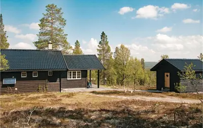 a log cabin in the middle of a field at Cozy Home In Rendalen With Sauna in Akrestrommen
