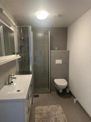 a bathroom with a shower and a toilet and a sink at Apartament Near Haugesund in Skred