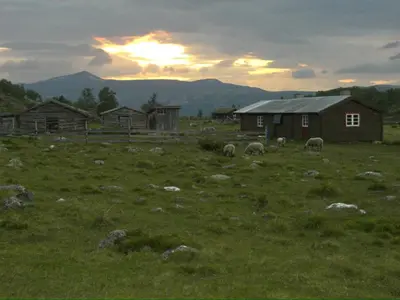 a group of sheep grazing in a field with a barn at Bottheimsætra
