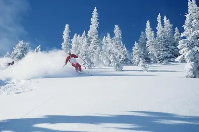 a person is skiing down a snow covered slope at Alpingrenda 38B by Vacation Trysil in Trysil