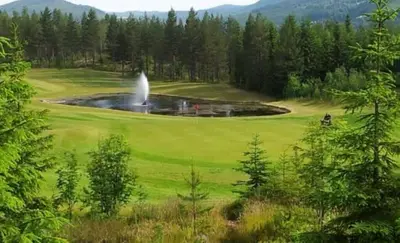 a fountain in the middle of a lush green field at Alpingrenda 38B by Vacation Trysil in Trysil