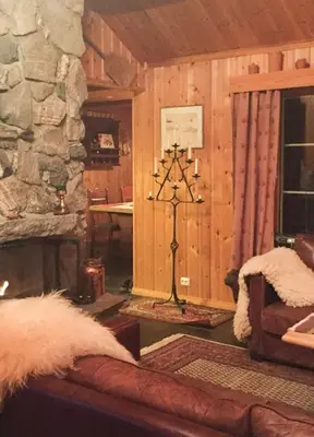 a living room with a couch and a fireplace at Cabin By Trillemarka Nature Reserve in Eiddal