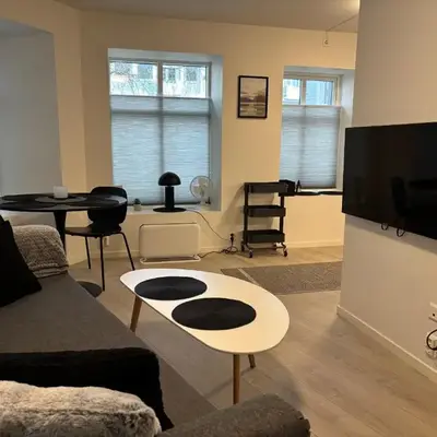 Modern Apt - Steps from Grieghallen and Trainstation