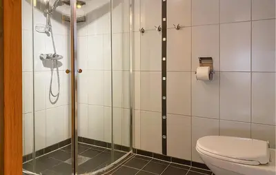 a bathroom with a shower and a toilet at Gorgeous Home In Leinøy With House Sea View in Fosnavåg