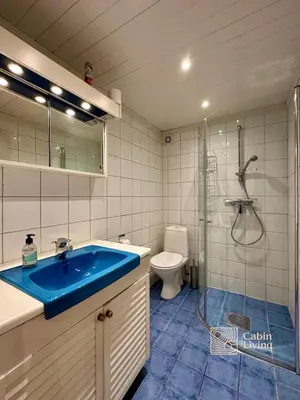 a bathroom with a blue sink and a toilet at Spacious cabin in Hemsedal with sauna, near slopes in Hemsedal