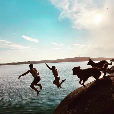 two men jumping into a body of water with a dog at Strand huset in Hitra