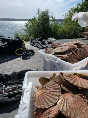 two containers of shellfish on a table near the water at Strand huset in Hitra