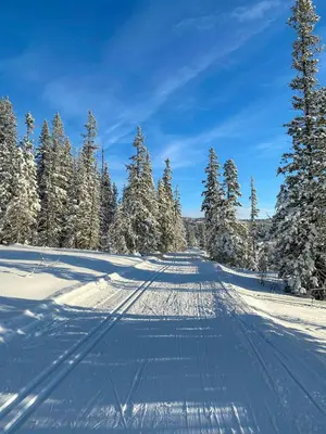 a road covered in snow with trees in the background at Modern Family Cabin By The Ski Trail In Tuddal in Tuddal