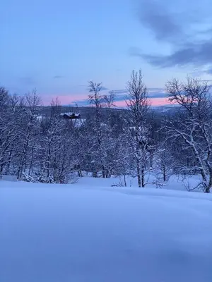 a snow covered field with trees in the background at Exclusive cottage on Geilo in Hol