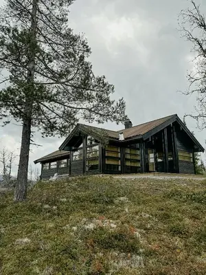 a house on top of a hill with a tree at Ål Cabin With Views Of Marshland And Mountains in Flå