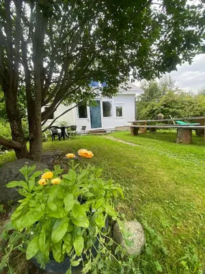 a garden with a bench and flowers in a yard at Cosy farmhouse with spa as add on service in Gjøvik