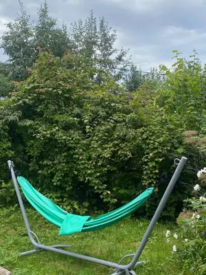 a green hammock in the grass in a yard at Cosy farmhouse with spa as add on service in Gjøvik