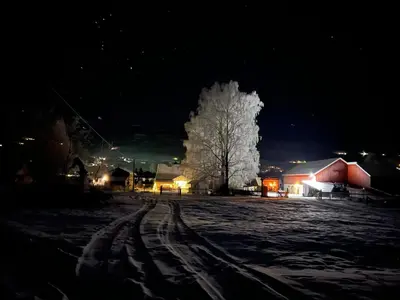 a snow covered field at night with a large tree at Det vesle huset på Lysåker in Nord-Fron