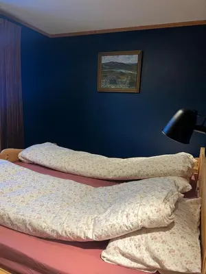 two beds in a bedroom with a blue wall at Det vesle huset på Lysåker in Nord-Fron