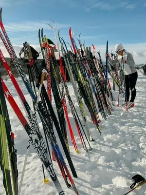 a bunch of skis are lined up in the snow at Newly Built Log Cabin Near Hardangervidda in Geilo
