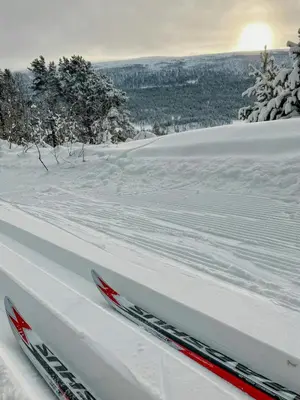 a pair of skis sitting in the snow at Newly Built Log Cabin Near Hardangervidda in Geilo