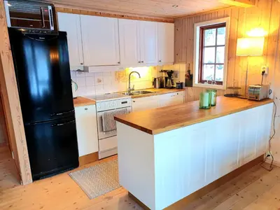 a kitchen with white cabinets and a black refrigerator at Filefjellhytta ved Tyin og Jotunheimen Ski in og ski out til alpinanlegg og skiløyper in Tyinkrysset
