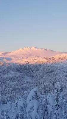 a view of a snow covered field with trees at Modern mountain cabin with panorama view in Eggedal