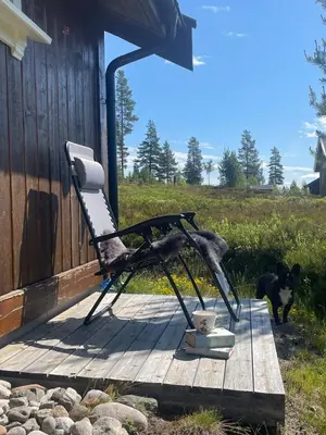 a chair sitting on a deck next to a dog at Cozy year-round cabin with sauna at Furutangen in Åmot