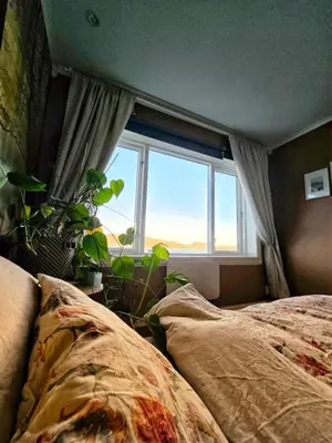 a bedroom with a window with a plant in front of it at Cozy house in historical area in Bergen
