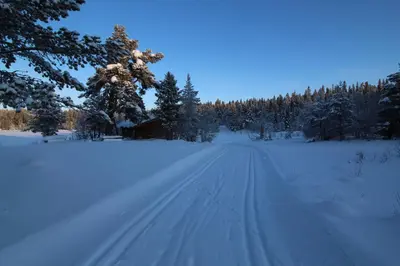 a snow covered road in a field with trees at Mountain Lodge - Midtgardstunet in Ringebu