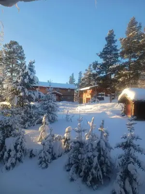 a snow covered yard with trees and a cabin at Mountain Lodge - Midtgardstunet in Ringebu