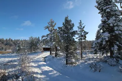 a snow covered path in a forest with trees at Mountain Lodge - Midtgardstunet in Ringebu