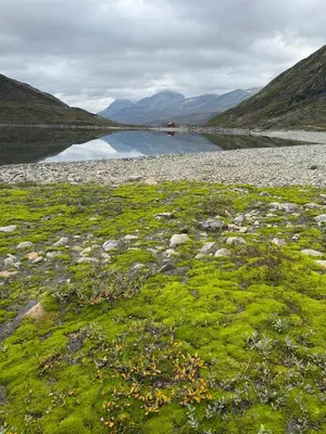 a body of water with green grass and rocks at Panoramic Apartment In The Heart Of Beitostølen in Beitostøl