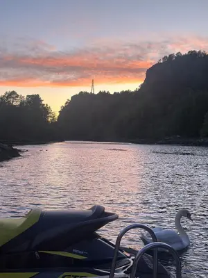 a swan is sitting on the water at sunset at Aurora Bliss - Waterfront Jacuzzi & Sauna near Bergen in Askøy
