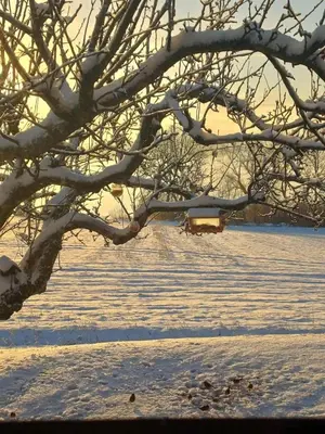 a snow covered field with a house in the distance at Lovely tiny house with a dream view !