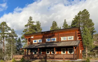a wooden cabin in the woods with trees at Pet Friendly Home In Lesjaskog With Wifi in Bjorli