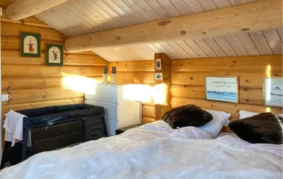 a bedroom with a bed in a room with wooden walls at Pet Friendly Home In Lesjaskog With Wifi in Bjorli