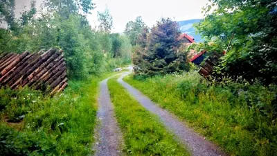a dirt road in the middle of a field at Skap Opplevelser! in Svingvoll