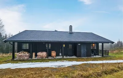 a black house with a black roof in a field at Awesome Home In Hemsedal With Sauna in Hemsedal