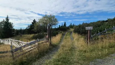 a fence on the side of a dirt road at Historic Cabin From 1906 In Sjusjøen in Sjusjøen