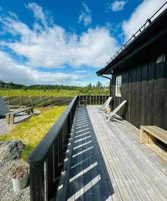 a wooden deck next to a building with a field at Sunny Cabin With Panoramic Views At Golsfjellet in Tisleidalen