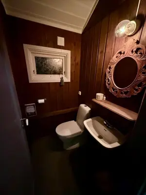 a small bathroom with a toilet and a sink at Utibakken - cabin ski inn-out Norefjell in Surteberg