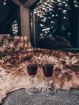 two wine glasses sitting on top of a blanket at NEW cozy and large lodge with private Jacuzzi and sauna in Eggedal
