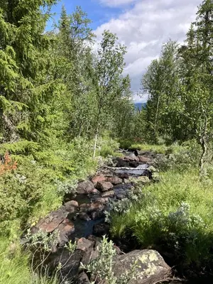 a rocky trail through a forest with trees at Apartment in Gol Skisenter in Gol