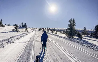a person cross country skiing down a snow covered road at Amazing Apartment In Øyer With Wifi in Øyer