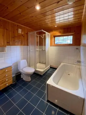 a bathroom with a tub and a toilet and a shower at Historic Timber Cabin With Views Of Rondane in Furuhovde