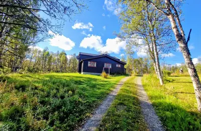 a dirt road leading to a barn in a field at Trivelig og romslig hytte nær Røros, rikelig med uteplass in Glåmos