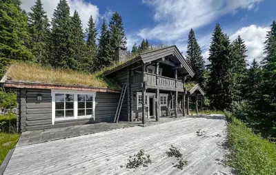 a log cabin with a grass roof on a driveway at Cozy Home In Eggedal With Wifi in Eggedal