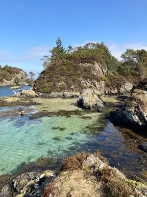 a beach with blue water and rocks and trees at Holiday home in Espevær in Bømlo