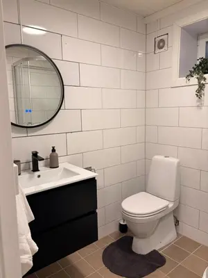 a bathroom with a toilet and a sink and a mirror at Kirkevegen apartment in Brumunddalen