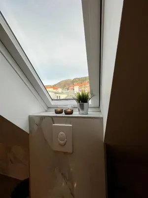 a bathroom with a window with a plant in it at Exclusive top apartment, central location in Bergen in Bergen