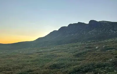 a view of a mountain with sheep in a field at Lovely Home In Eggedal With Wifi in Eggedal
